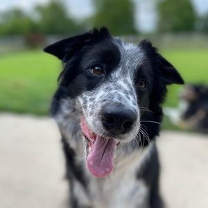 Meet your Posher, Kari